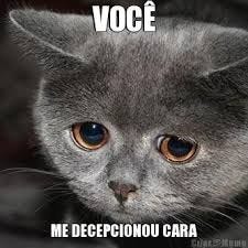 Meme de um gato triste com a legenda "Você me decepcionou, cara"